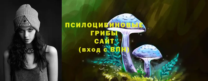 Галлюциногенные грибы Psilocybine cubensis  это Telegram  Омск 